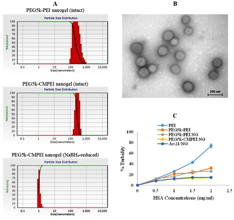 PEGylated nanohydrogels delivering anti-MicroRNA-21 suppress ovarian tumor-associated angiogenesis in matrigel and chicken chorioallantoic membrane models.