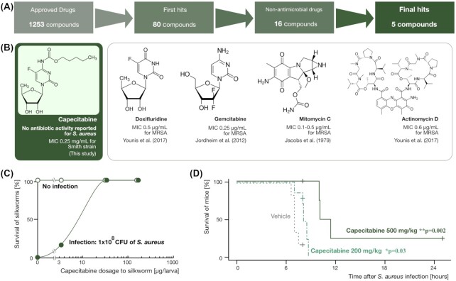 Repurposing the PDMA-approved drugs in Japan using an insect model of staphylococcal infection.