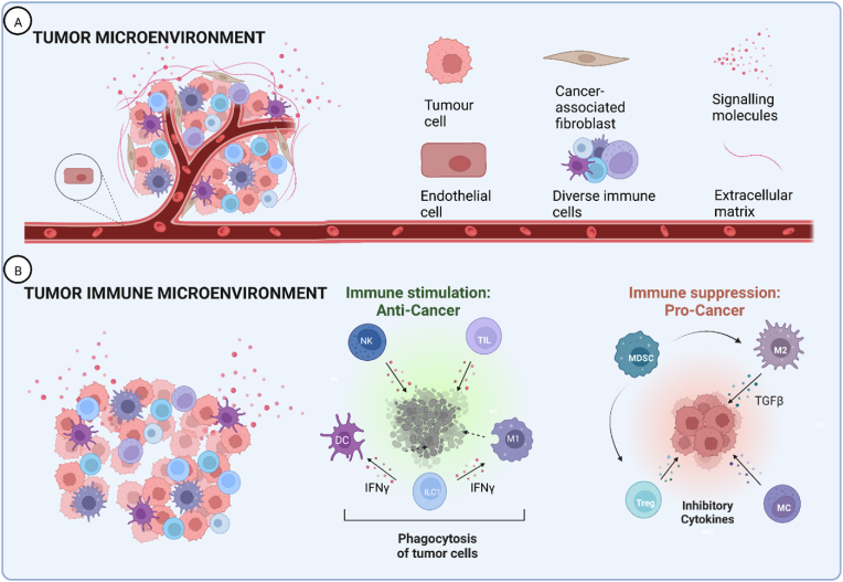 New insights into the tumour immune microenvironment of nasopharyngeal carcinoma