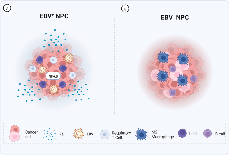 New insights into the tumour immune microenvironment of nasopharyngeal carcinoma