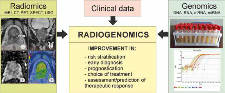 Personalized management of prostate cancer: from molecular and imaging markers to radiogenomics.