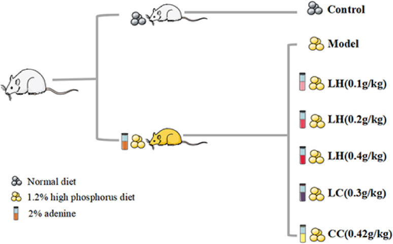 Metabolomics of clinical samples reveal the treatment mechanism of lanthanum hydroxide on vascular calcification in chronic kidney disease.