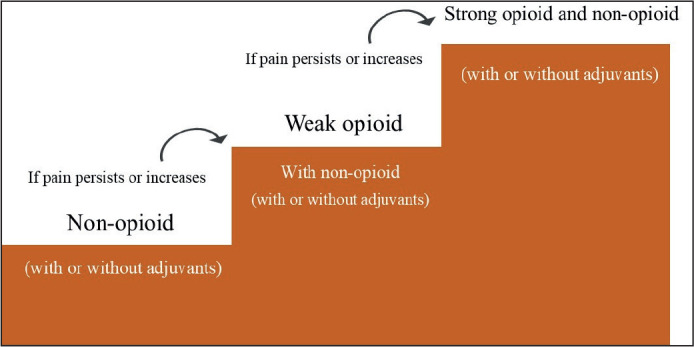 The Holistic Approach to Cancer Pain Management.