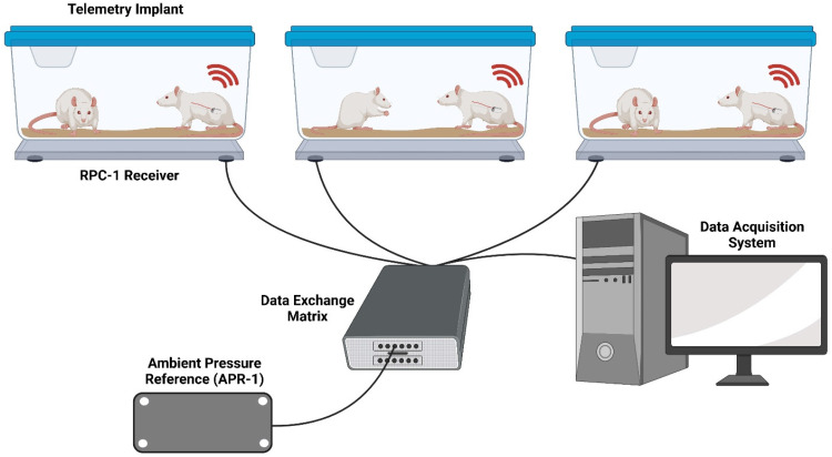 Monitoring haemodynamic changes in rodent models to better inform safety pharmacology: Novel insights from <b><i>in vivo</i> studies and waveform analysis</b>.