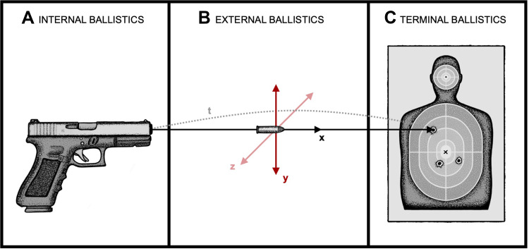 Gunshot Wounds: Ballistics, Pathology, and Treatment Recommendations, with a Focus on Retained Bullets.