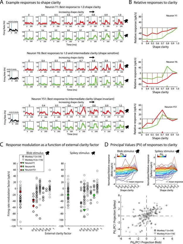 Neurons in inferior temporal cortex are sensitive to motion trajectory during degraded object recognition.