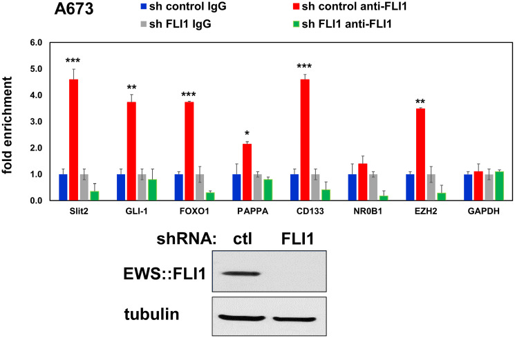 Slit2 signaling stimulates Ewing sarcoma growth.