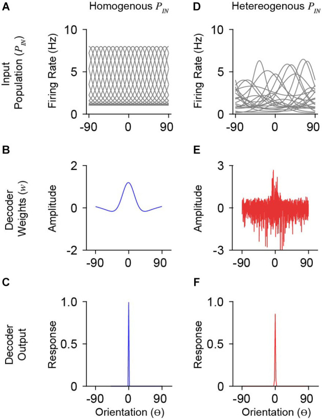 Unraveling Functional Diversity of Cortical Synaptic Architecture Through the Lens of Population Coding.