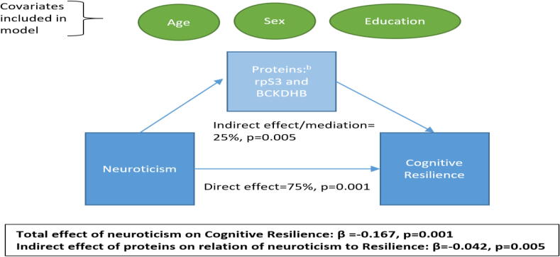 Exploring cortical proteins underlying the relation of neuroticism to cognitive resilience