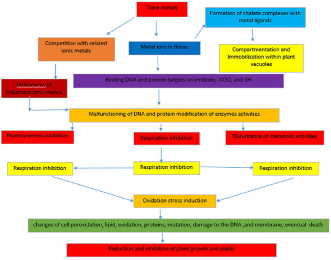 Insights to proteomics and metabolomics metal chelation in food crops.