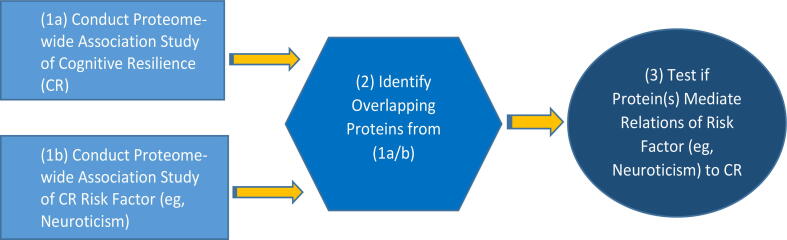 Exploring cortical proteins underlying the relation of neuroticism to cognitive resilience