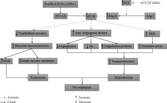 Angiotensin-Converting Enzyme (ACE) Insertion/Deletion (I/D) Polymorphism as a Conjoint Regulator of Coagulation, Fibrinolytic, and RAAS Pathway in Infertility and Associated Pregnancy Complications.