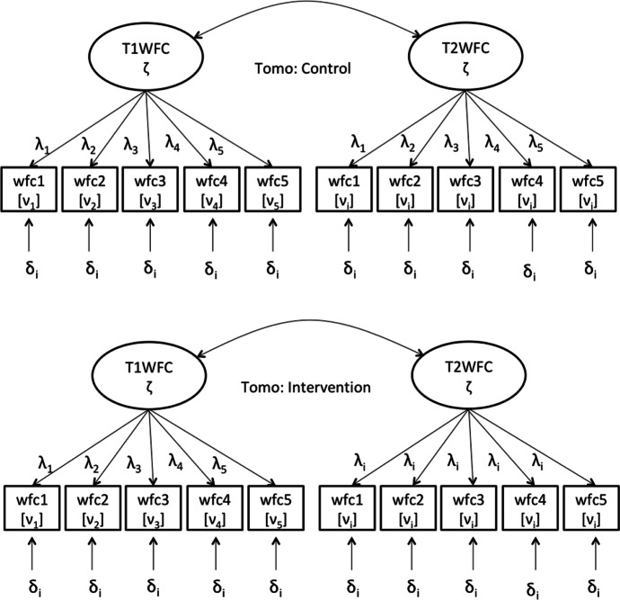 An Alpha, Beta and Gamma Approach to Evaluating Occupational Health Organizational Interventions: Learning from the Measurement of Work-Family Conflict Change.