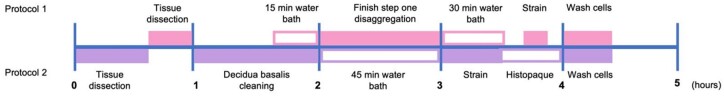 Isolation of single cells from human uterus in the third trimester of pregnancy: myometrium, decidua, amnion and chorion.