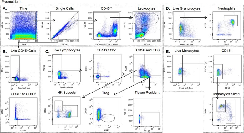 Isolation of single cells from human uterus in the third trimester of pregnancy: myometrium, decidua, amnion and chorion.