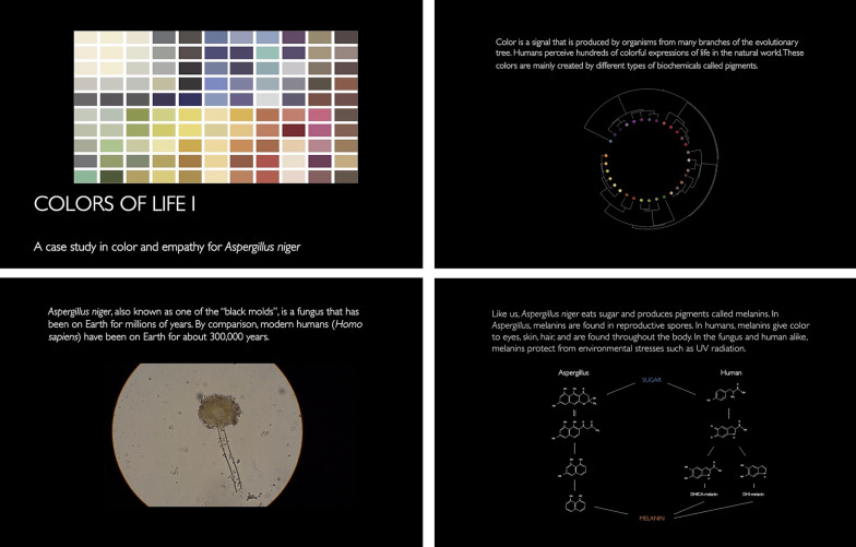 The colors of life: an interdisciplinary artist-in-residence project to research fungal pigments as a gateway to empathy and understanding of microbial life.