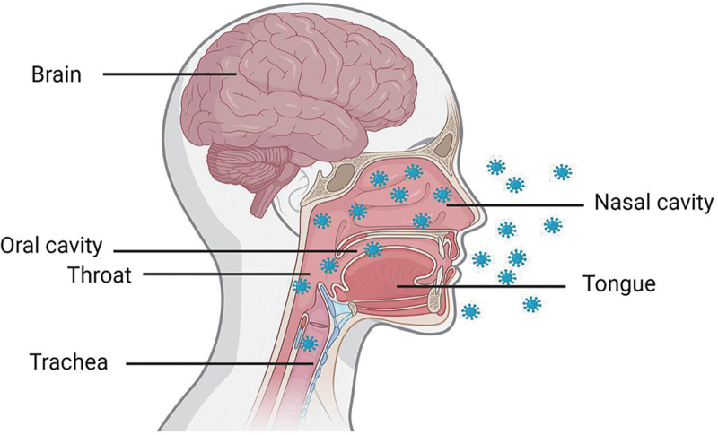 Reinfection and Breakthrough Infection of SARS-CoV-2: An Emerging Challenge That Is Threatening Our World.