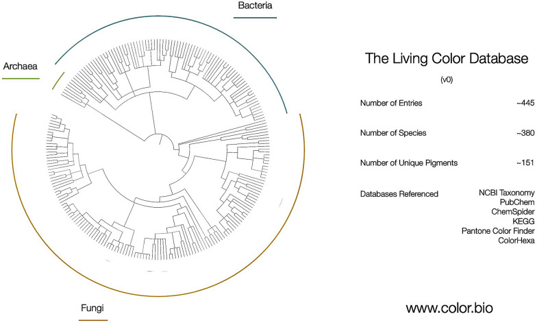 The colors of life: an interdisciplinary artist-in-residence project to research fungal pigments as a gateway to empathy and understanding of microbial life.