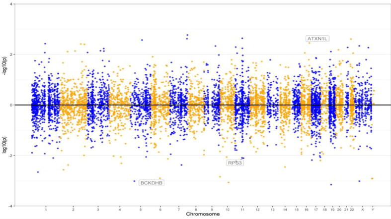 Exploring cortical proteins underlying the relation of neuroticism to cognitive resilience