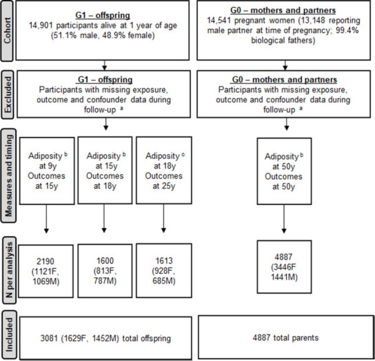 Sex-specific associations of adiposity with cardiometabolic traits in the UK: A multi-life stage cohort study with repeat metabolomics.