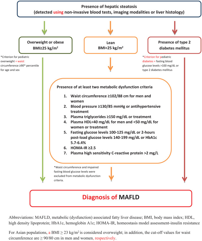 Epidemiology, natural history, and diagnosis of metabolic dysfunction-associated fatty liver disease: a comparative review with nonalcoholic fatty liver disease.