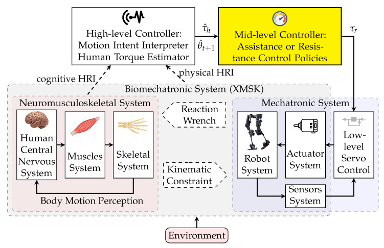 Model-Based Mid-Level Regulation for Assist-As-Needed Hierarchical Control of Wearable Robots: A Computational Study of Human-Robot Adaptation.
