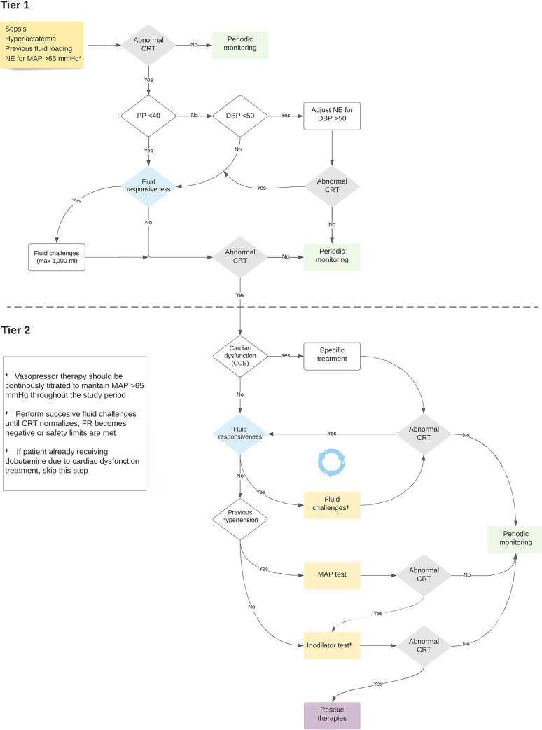 Hemodynamic phenotype-based, capillary refill time-targeted resuscitation in early septic shock: The ANDROMEDA-SHOCK-2 Randomized Clinical Trial study protocol.