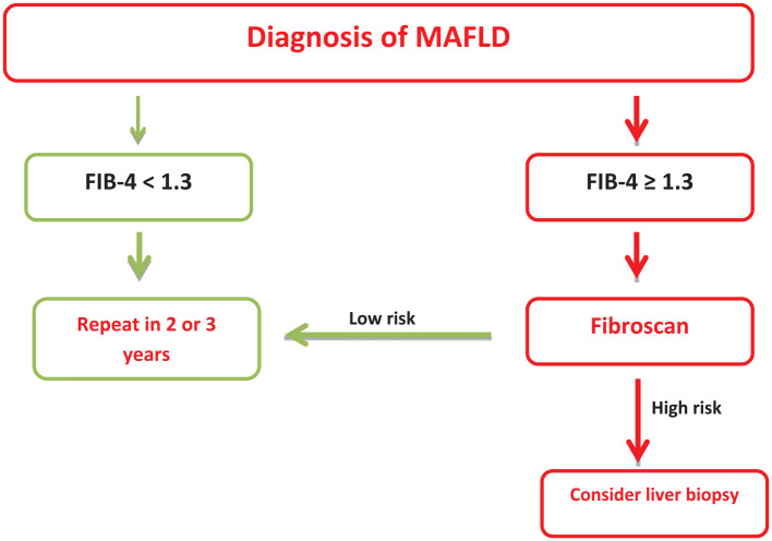 Epidemiology, natural history, and diagnosis of metabolic dysfunction-associated fatty liver disease: a comparative review with nonalcoholic fatty liver disease.