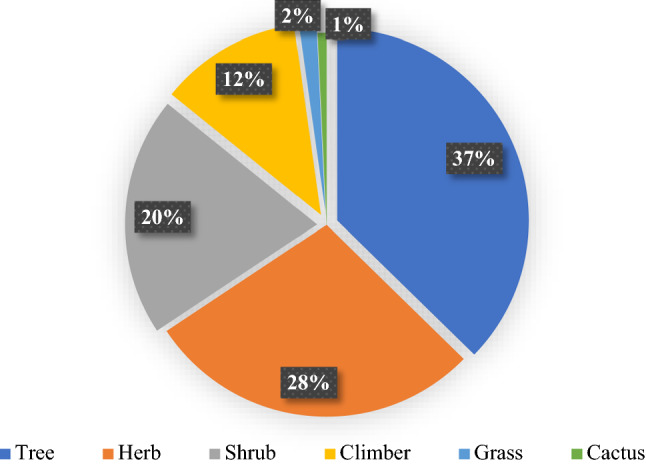 Medicinal plant sources and traditional healthcare practices of forest-dependent communities in and around Chunati Wildlife Sanctuary in southeastern Bangladesh.