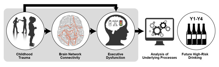 Alcohol and the Adolescent Brain: What We've Learned and Where the Data Are Taking Us.