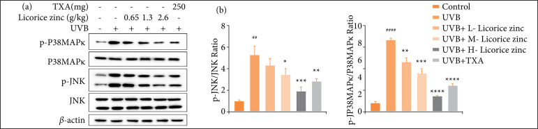 Licorice zinc suppresses melanogenesis via inhibiting the activation of P38MAPK and JNK signaling pathway in C57BL/6J mice skin.