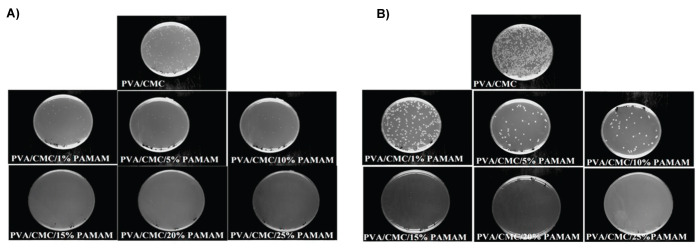 Optimization of Dendrimer Polyamidoamin Electrospun Nanofibers: Preparation and Properties.