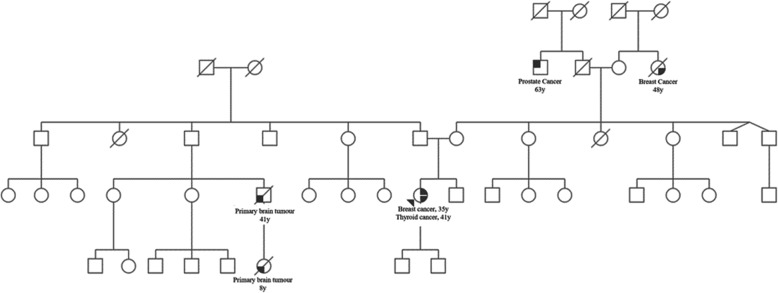 CHEK2 mutations and papillary thyroid cancer: correlation or coincidence?