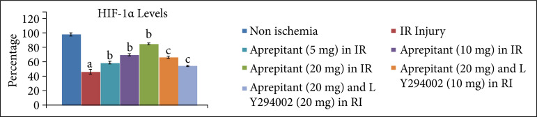 Cardioprotective action of aprepitant in a rat model of ischemia-reperfusioninduced myocardial injury: role of PI3K-AkT-GSK-3β-HIF-1α signaling pathway.