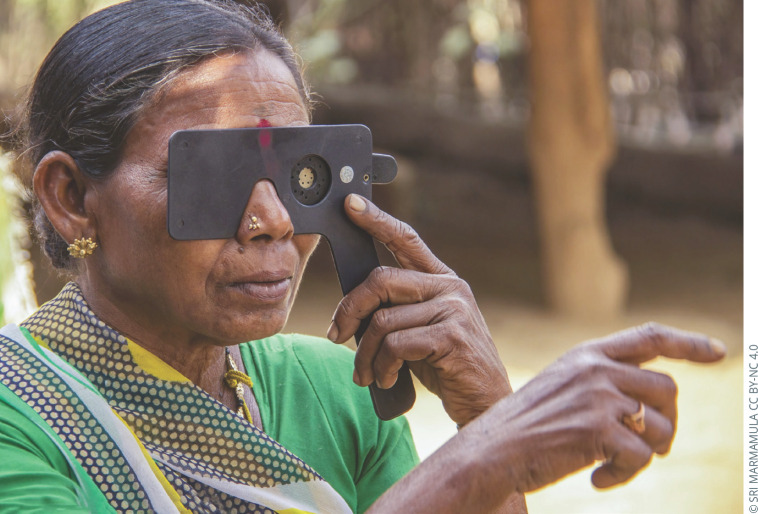 Vision guardians for community eye health: the LV Prasad Eye Institute model in India.