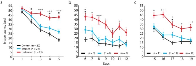 Phasic stimulation in the nucleus accumbens enhances learning after traumatic brain injury.