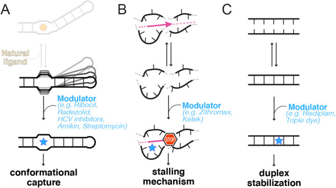 Brief considerations on targeting RNA with small molecules.