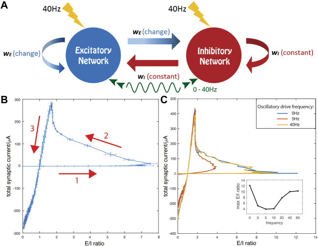 Heterogeneous mechanisms for synchronization of networks of resonant neurons under different E/I balance regimes.