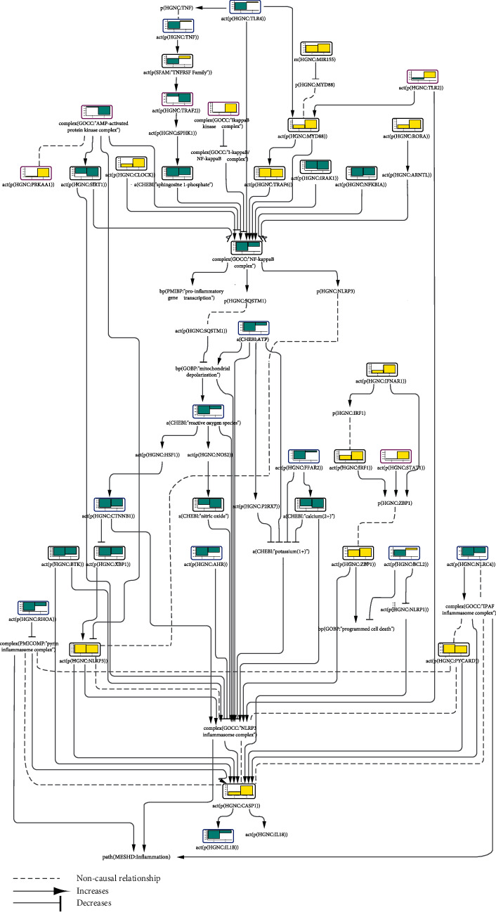 Causal Biological Network Model for Inflammasome Signaling Applied for Interpreting Transcriptomic Changes in Various Inflammatory States.