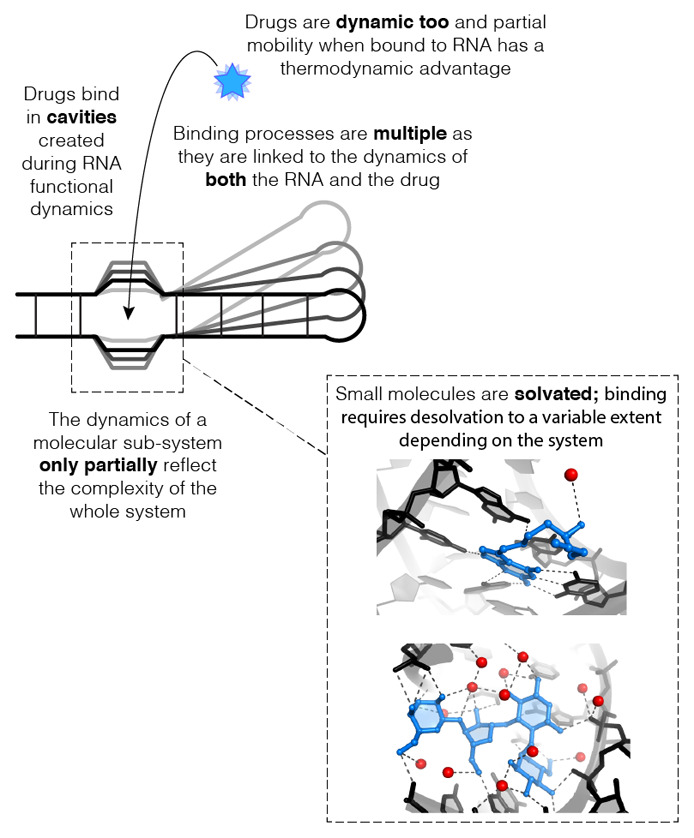 Brief considerations on targeting RNA with small molecules.