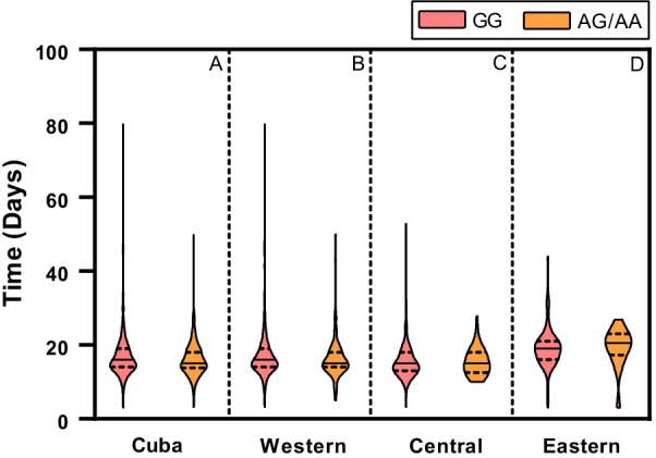 The role of tumor necrosis factor alpha - 308A > G polymorphism on the clinical states of SARS-CoV-2 infection.