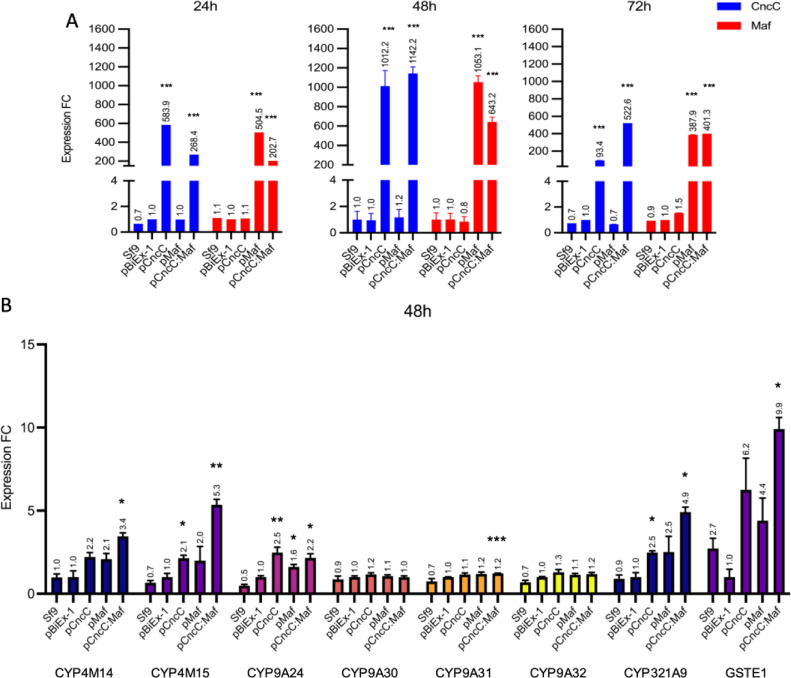 Spodoptera frugiperda Sf9 cells as a model system to investigate the role of detoxification gene expression in response to xenobiotics