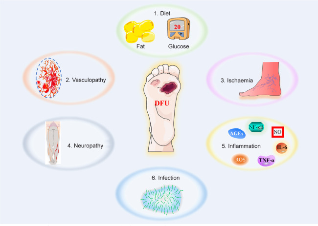 Advances and perspective on animal models and hydrogel biomaterials for diabetic wound healing.