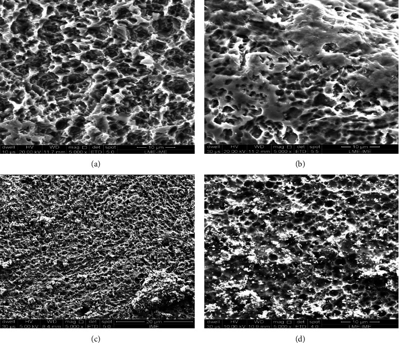 Titanium Coated with Graphene and Niobium Pentoxide for Biomaterial Applications.