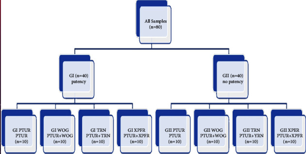 Quantitative Assessment of Apically Extruded Debris after Single-Files Supplemental Retreatment considering Apical Patency Influence: <i>In Vitro Study</i>.