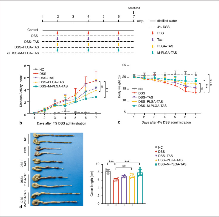 Macrophage-Biomimetic Nanoparticles Ameliorate Ulcerative Colitis through Reducing Inflammatory Factors Expression.