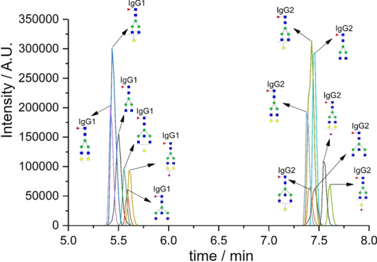 Liquid chromatography and capillary electrophoresis in glycomic and glycoproteomic analysis.