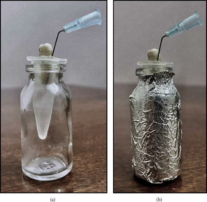 Quantitative Assessment of Apically Extruded Debris after Single-Files Supplemental Retreatment considering Apical Patency Influence: <i>In Vitro Study</i>.