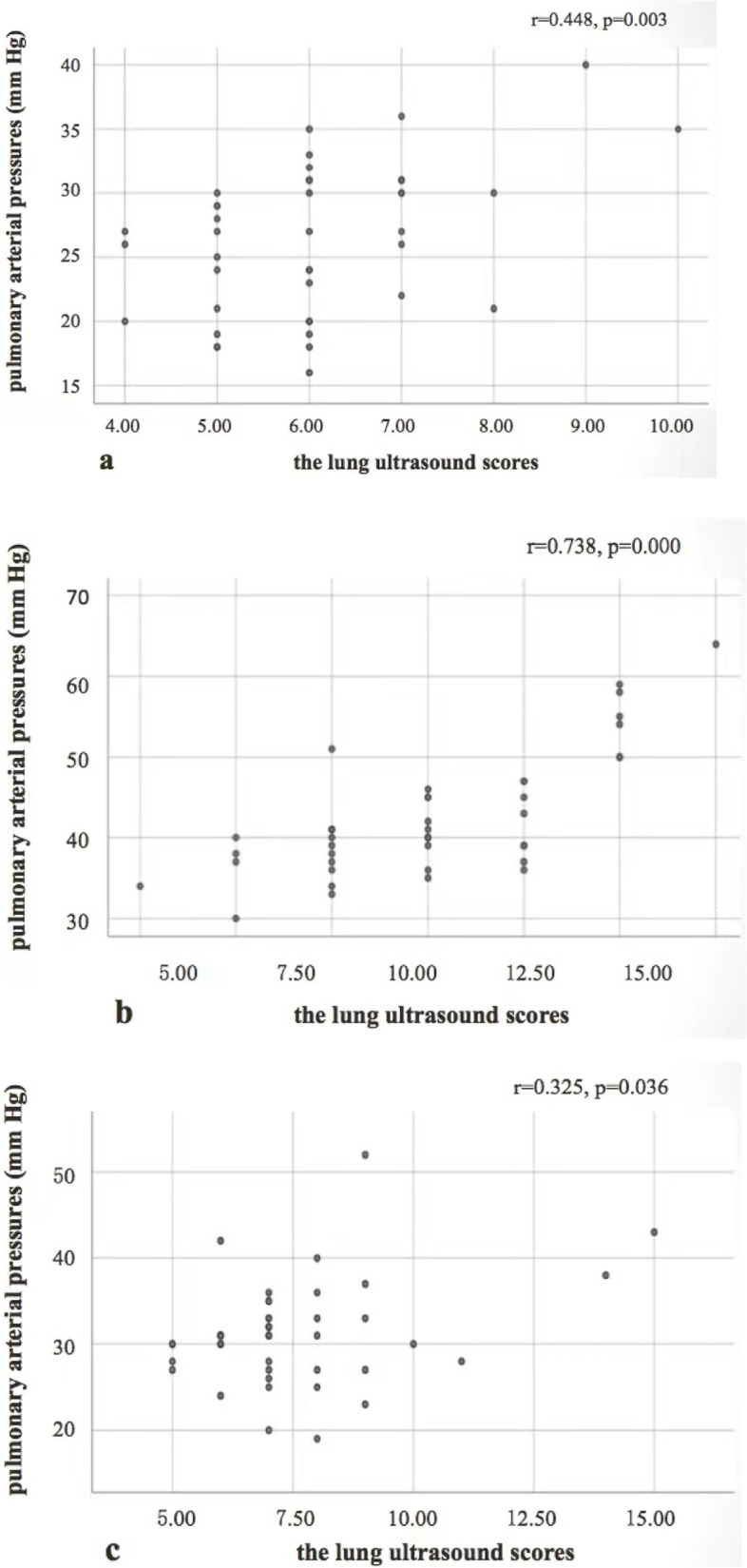 Pilot study on the value of echocardiography combined with lung ultrasound to evaluate COVID-19 pneumonia.