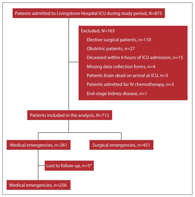 Scope and mortality of adult medical ICU patients in an Eastern Cape tertiary hospital.